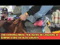 Lagu Makanya Untuk Para Pmi Harus Tau Terkait Permasalahan Ini Wajib Tau