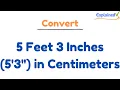 5 Feet 3 Inches 5 3 in Centimeters