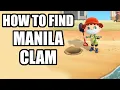 How to find Manila Clam - Animal Crossing New Horizons