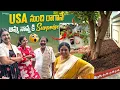 Download Lagu Surprise for Mom and Dad when they arrive from USA | Challa Kodukulu Kodallu | Family Time | Gard...