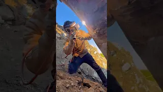                                                   دندنها
