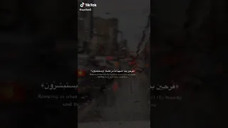 فرحين بما اتاهم الله من فضله   احمد العجمي          ستوريات قرآن دندنها
