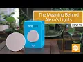 Confused by Alexa s light rings Here s what the colors mean