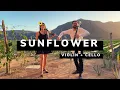 Sunflower - Violin and Cello cover