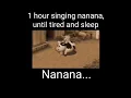 1 Hour Singing Harvest Moon - Nanana With Lyrics
