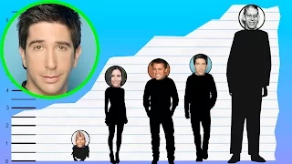 How Tall Is David Schwimmer - Height Comparison