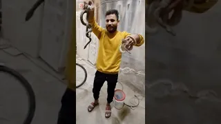 الثعبان الغير سام التعامل مع الثعابين البشريه اكتشاف كيفيه التعامل مع الثعابين البشريه١١ نوفمبر ٢٠٢١ 