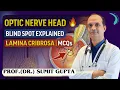 Optic Disc Optic Nerve Head High-Yield Anatomy for Medical Exams DR SUMIT GUPTA