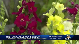 Allergy seasons getting worse for greater Cincinnati