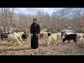 Lagu Cave Life | Hard Nomadic Life and Herding in the Mountains in Winter Cold ❄️🏔️