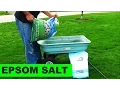 Download Lagu Using Milorganite to Apply Epsom Salt to your lawn