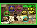 COMPLETE KIBBLE GUIDE Beginners Guide ARK Survival Evolved 2022 The Island S1 E9