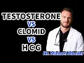 Testosterone vs HCG vs Clomid What is the difference