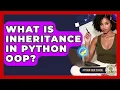 What Is Inheritance In Python OOP - Python Code School
