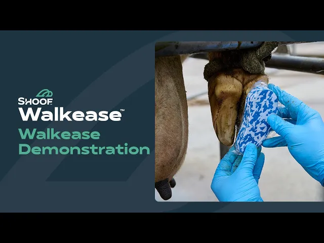 Walkease Hoof Treatment Starter Kit for Cattle