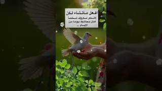 لا تثق في ناكر الجميل الطيبة في بعض الاحيان غباء لا إفراط و لا تفريط 