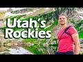 Albion Basin Utah Alpine Wonderland