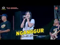 Download Lagu NGANGGUR - CANTIKA DAVINCA - OM SAVANA SAKJOSE  - TASAYAKURAN KHITAN ( PUTRA PANDAWA )