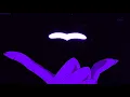 TITANIUM - PHONK MUSIC 2023
