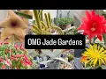 These Plant Prices at Jade Gardens Will Leave You Speechless