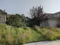 Download Lagu An Introduction on Converting Lawn to Prairie Gardens