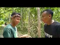 Download Lagu TULAK MADAM - EPISODE 1