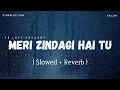 Download Lagu Meri Zindagi Hai Tu - Lofi (Slowed + Reverb) | Storm Edition | Jubin Nautiyal, Neeti Mohan | SR Lofi