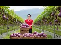 Download Lagu Harvest Gourd fruit – Secrets Of The Countryside Garden | Hanna Daily Life