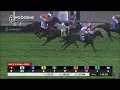 Horse Racing Nearctic S Gr 2 - 2021 Woodbine Equibase Racing Yearbook