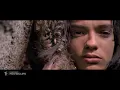 Alpha (2018) - A Peace Offering Scene (4/10) | Movieclips
