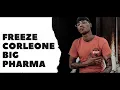 FREEZE CORLEONE 667 - BIG PHARMA (SUBTITULADO EN ESPAÑOL)