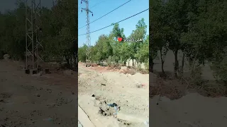 اخيرا اني يم اهلي يوميات ساره  اخيرا اني يم اهلي يوميات ساره