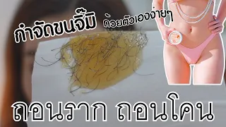 แว็กซ์ขนบิกินี - ขนจิมิ๊ วิธีง่ายๆทำได้เอง Bikini Wax brazilian wax hollywood wax
