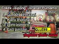 Lagu Album Cokek Jaipong - Jaranan Purnama musik__GLERR