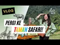 Download Lagu VLOG: PERGI KE TAMAN SAFARI! IH ADA YANG PIPIS SEMBARANGAN 😱 WKWKWK XD #vlog #tamansafari