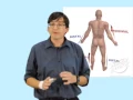 Bio2401 Lab Exercises 1-1 1-2 1-3