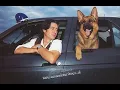 Download Lagu Kommissar Rex - A Good Friend (Music Video)