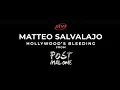 HOLLYWOOD S BLEEDING Post Malone - Vocal Cover