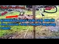 Download Lagu KOMBINASI Suara Ruak Ruak Birahi Dan Jontrot. Auto 3 Menit LANGSUNG POIN!!!