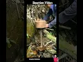 Ide,Ketika Hidup Di pedesaan #reactionvidio #shortvideo #sangsakapakidulan