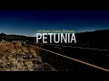 Alick Macheso - Petunia (2000)