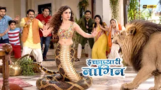 शेर ने मचाया नागिन के घर आतंक तो नागिन ने दिखाया रौद्र अवतार | Ichhapyaari Naagin | इच्छाधारी नागिन