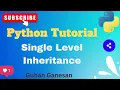 Python Single Level Inheritance Explained Parent Child Class Python OOPS