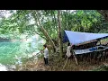 Download Lagu Fishing camping di spot baru panen ikan suasana hujan di hutan kalimantan