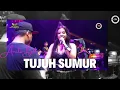 Download Lagu TUJUH SUMUR ANITA BETUNG |  Mardatila Group