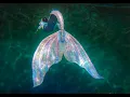 Download Lagu Extra longfish effect Real mermaid Tail