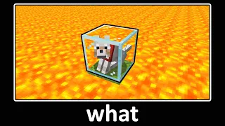 TOP 350 CRAZIEST GLITCHES IN MINECRAFT