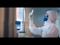 Bora Corporate Overview 2025 CH Subtitles