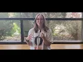 Why WMU Over 150 majors to explore