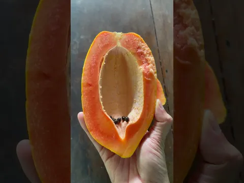 Enjoy freshly picked ripe papaya - For fruit lovers